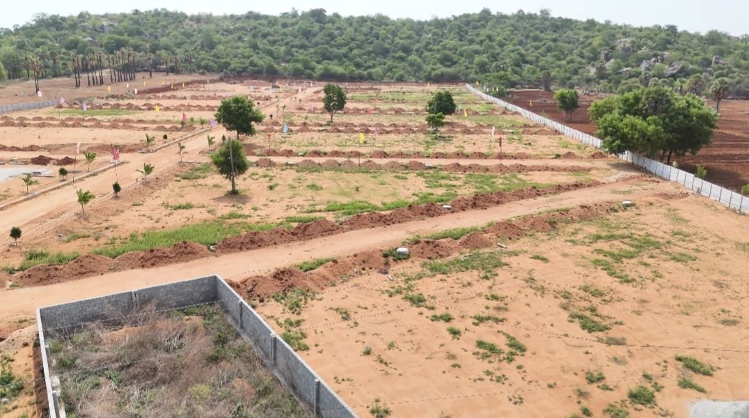 platinum township